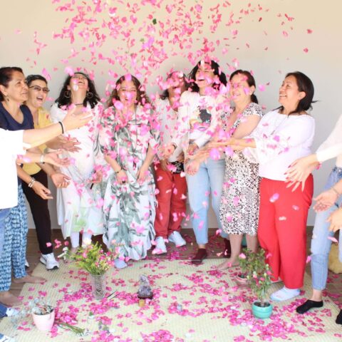 dharmonia_meditacionesespeciales_especiales dharmonia_meditacionesespeciales_especiales