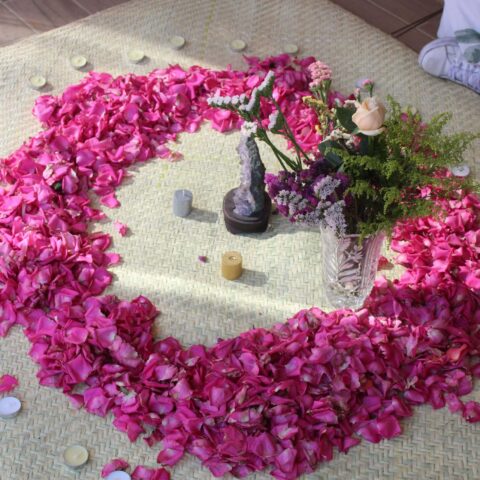 dharmonia_meditacionesespeciales_rosas dharmonia_meditacionesespeciales_rosas